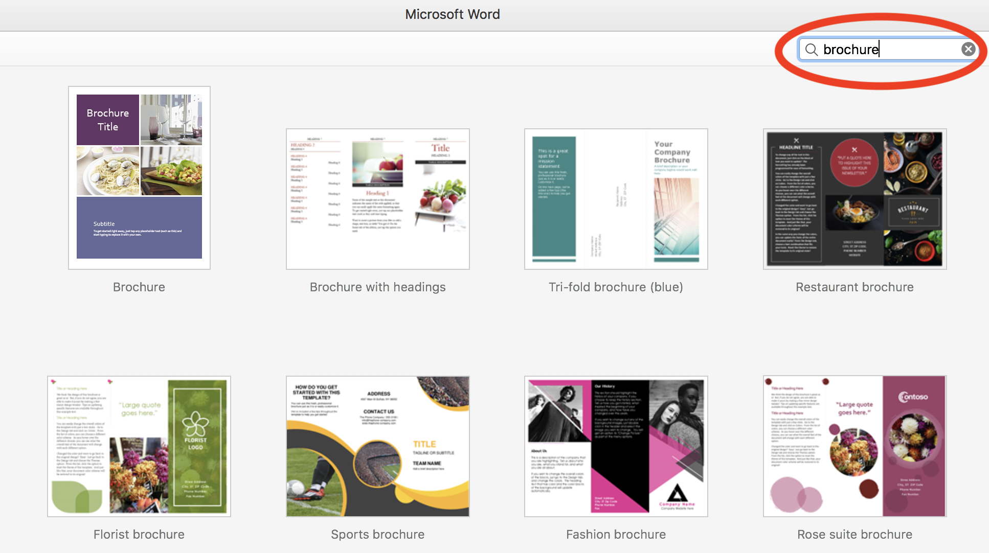 How to Make a Brochure (+Best Practices)
